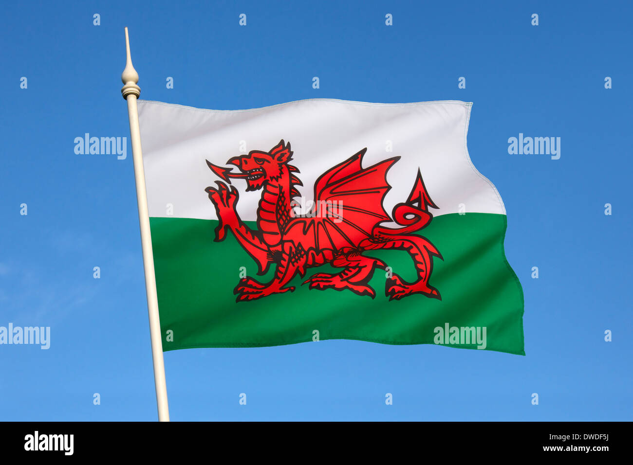 Welsh Emblem High Resolution Stock Photography And Images Alamy