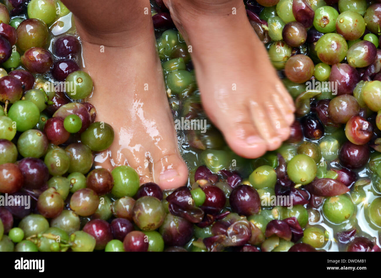 Wine Making Foot High Resolution Stock Photography and Images Alamy