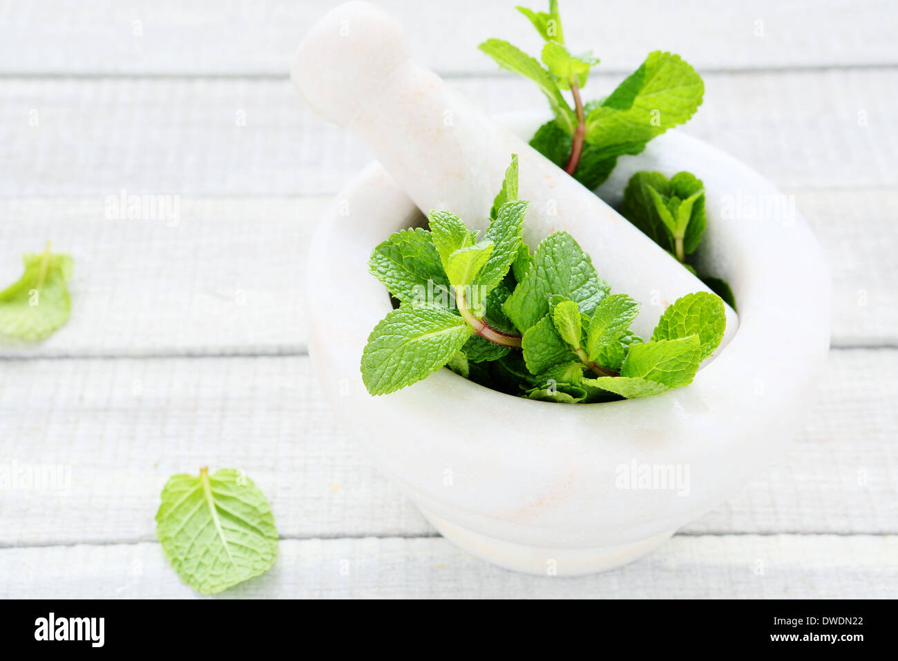 fresh green mint and mortar, herbs Stock Photo