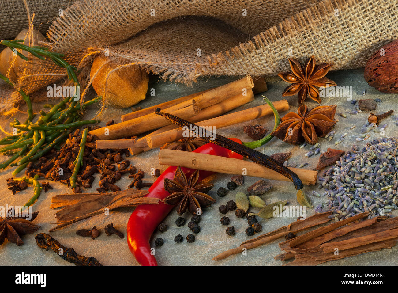 A selection of herbs and spices used in cooking Stock Photo Alamy
