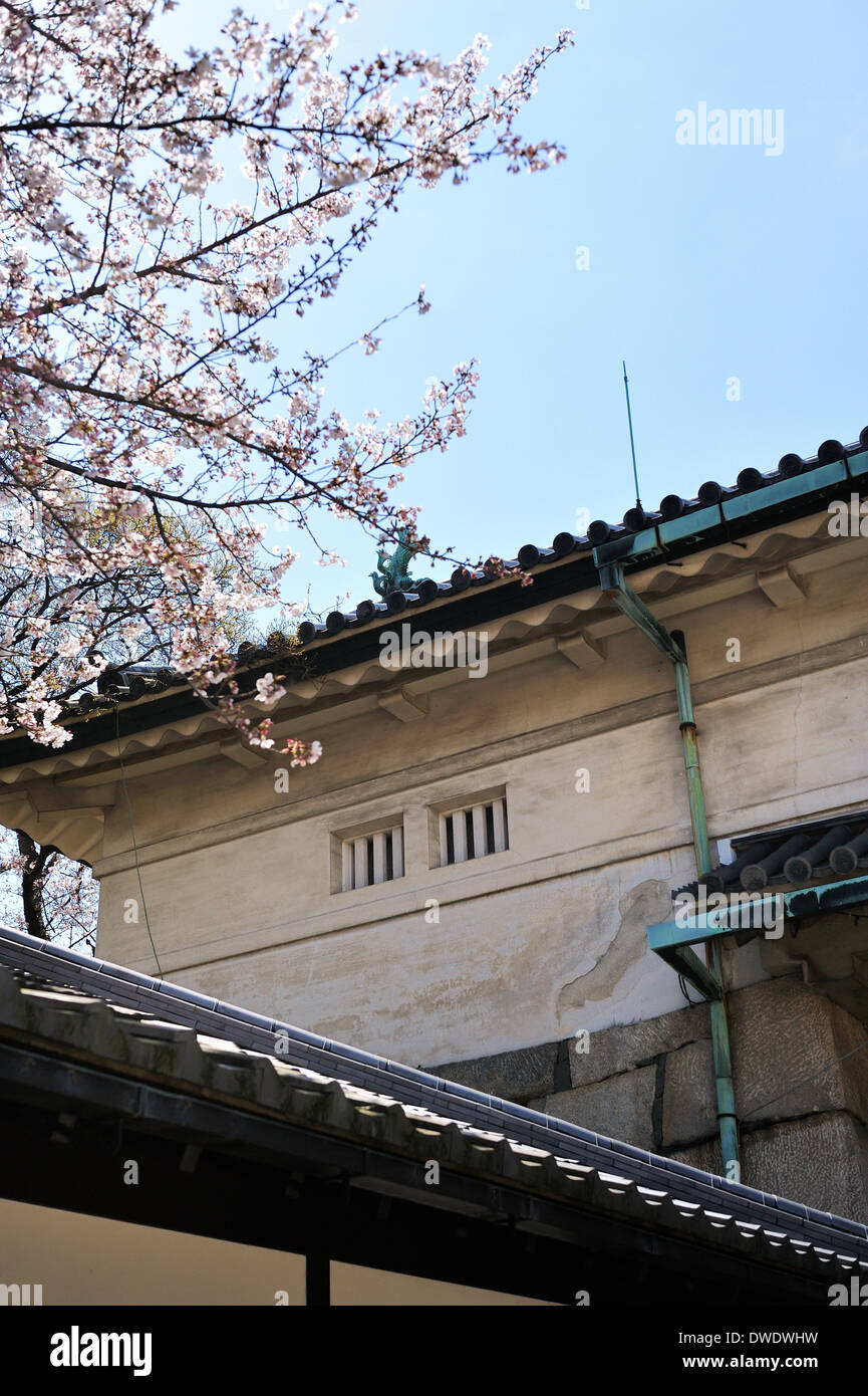 Traditional Japanese architecture and cherry blossom. Spring in Japan. Stock Photo