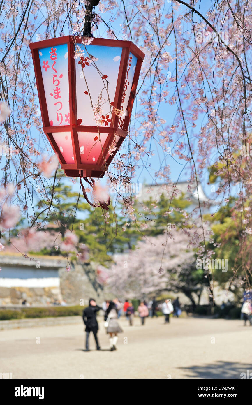 Spring in Nagoya castle, Japan. Stock Photo