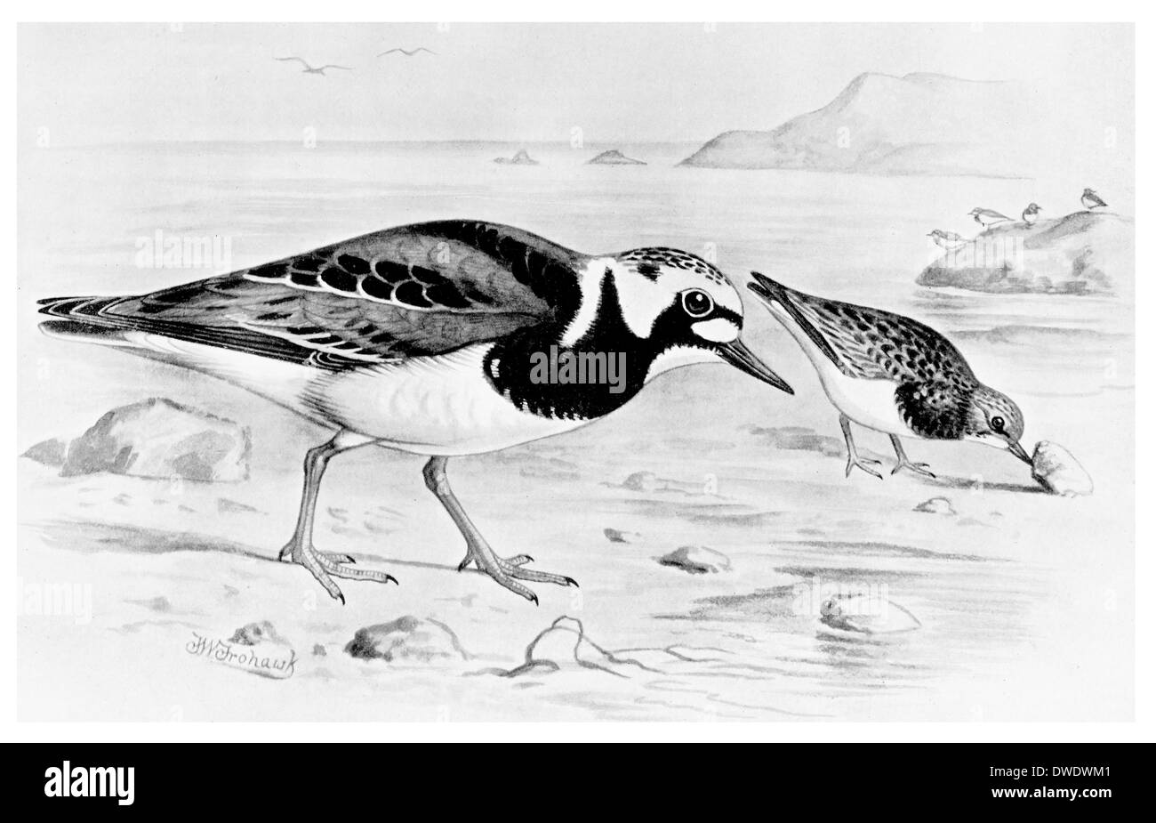 Autumn of spring Cut Out Stock Images & Pictures - Alamy