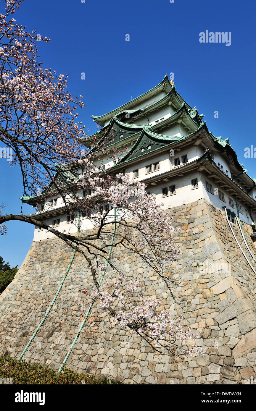 Nagoya Castle with sakura cherry blossom trees blooming in spring. Stock Photo