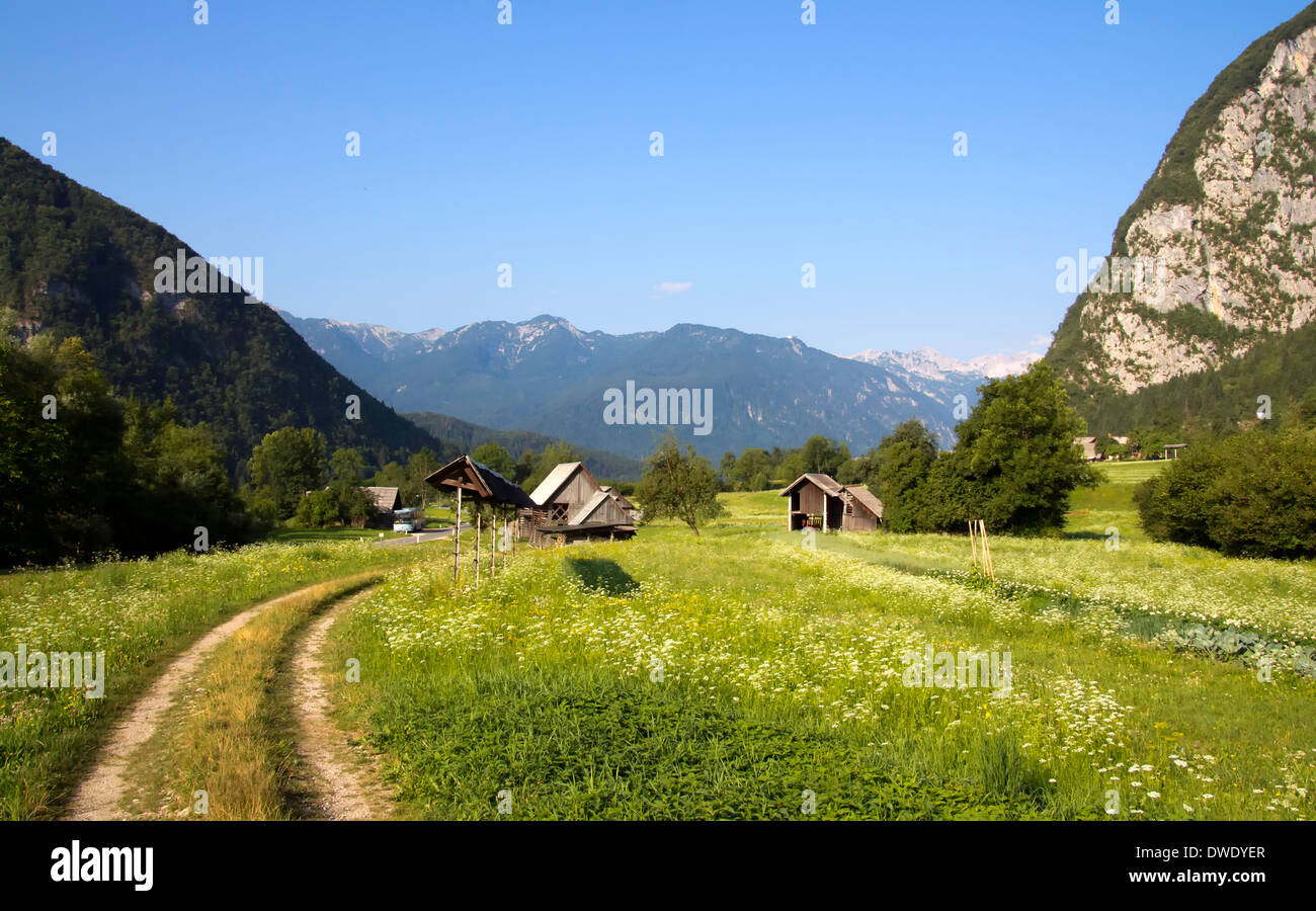 Bohinj, Slovenia with Alps in background. Stock Photo