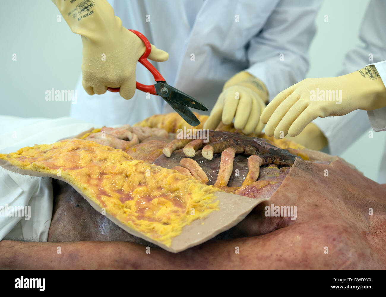 Duesseldorf, Germany. 06th Mar, 2014. 'Corpse' Patrice Estanco is examined by 'pathologist' Bernd Staatz, chief make-up artist of the Deutsche Oper am Rhein, in Duesseldorf, Germany, 06 March 2014. The make-up artist was showing off his skills on the topic of 'murder victim' during the press conference for the trade fair 'make-up artist design show,' which is also the topic of the German make-up artist championships. The trade fair runs from 22 until 23 March 2014. Photo: FEDERICO GAMBARINI/dpa/Alamy Live News Stock Photo