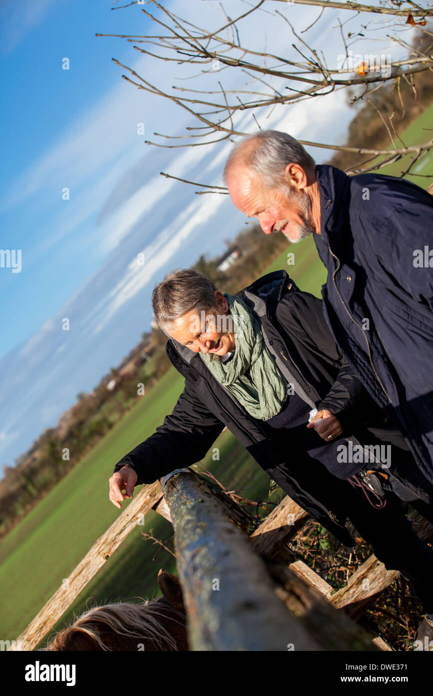 Elderly couple laughing and having fun petting a horse in a paddock on a cold sunny winter day as they enjoy the freedom of their retirement Stock Photo