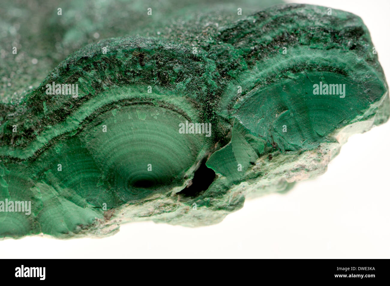 Malachite (botryoidal) Copper carbonate hydroxide - probably the earliest mined ore of copper (from Lubumbashi, Congo) Stock Photo