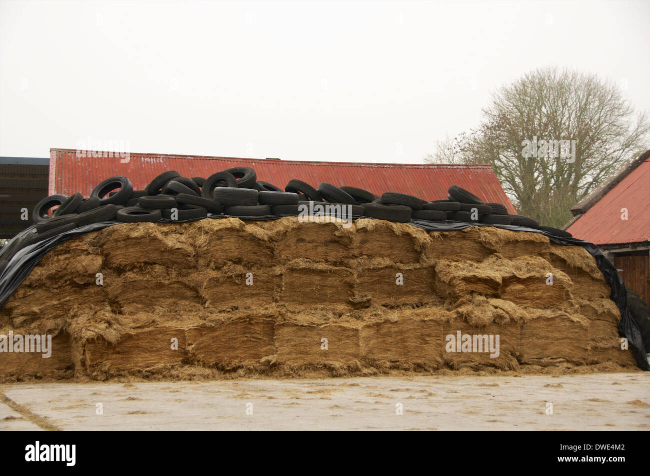 A silage pit covered in tyres in a farmyard in the west of Ireland. Stock Photo