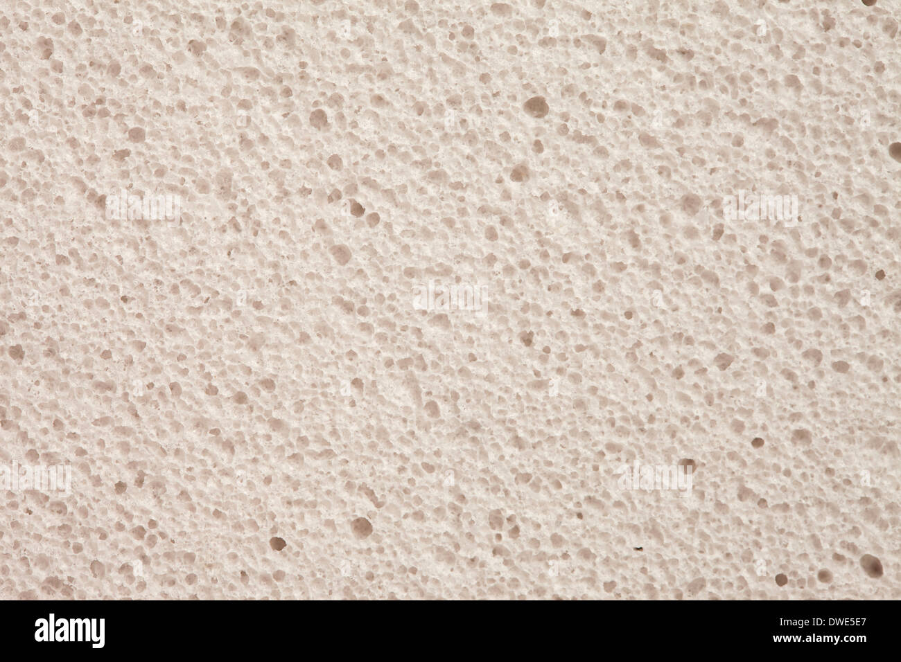White pumice - closeup, background Stock Photo - Alamy