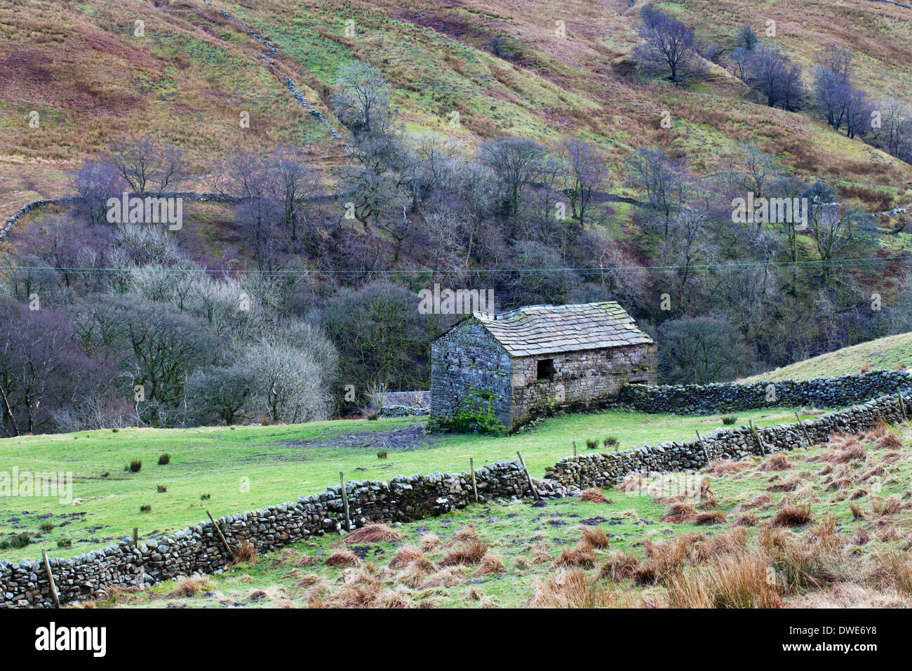 Rickety Field Barn in Garsdale Yorkshire Dales Cumbria England Stock Photo