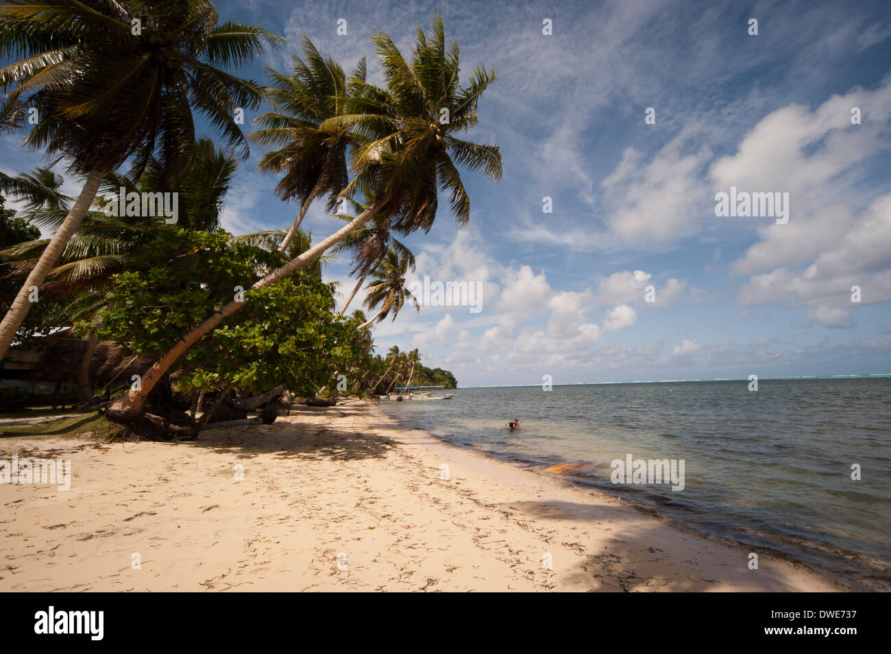 Tropical Beach & Coconut palm Cocos nucifera Yap Micronesia Stock Photo