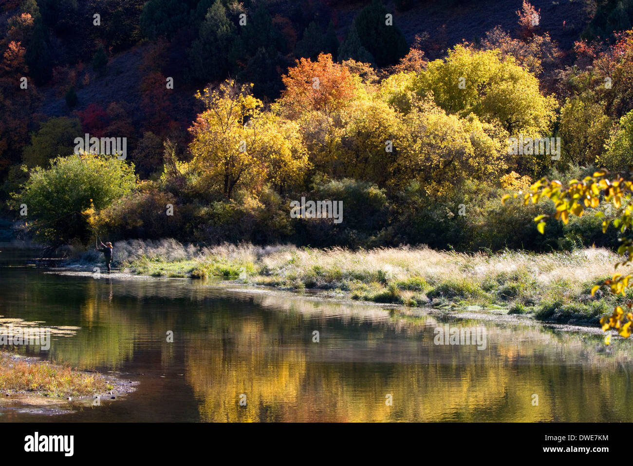 An angler fly fishing on the Logan River in Logan Canyon, Utah, USA