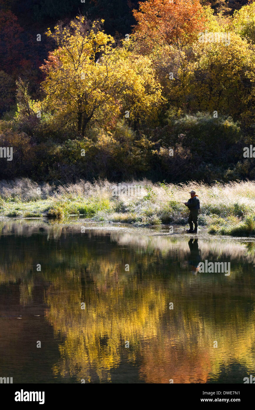 An angler fly fishing on the Logan River in Logan Canyon, Utah, USA