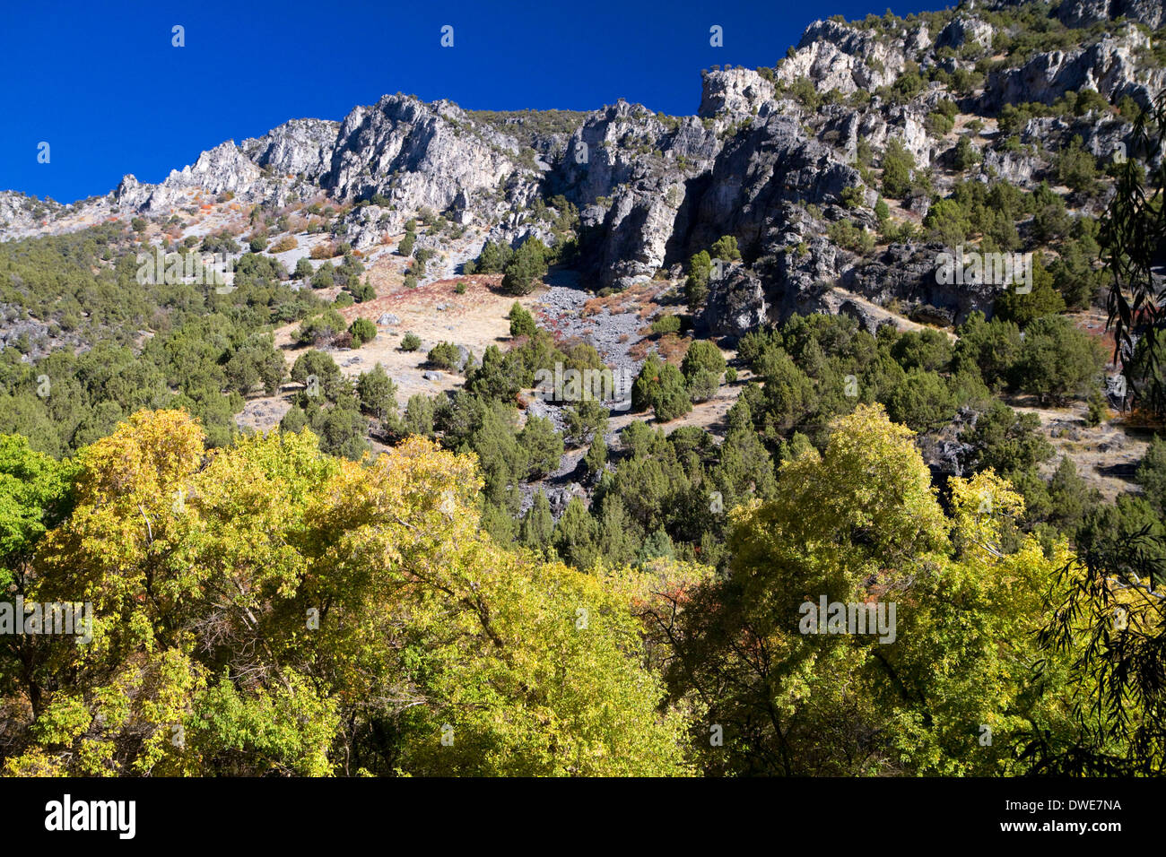 The Bear River Mountains in Logan Canyon, Utah, USA Stock Photo Alamy