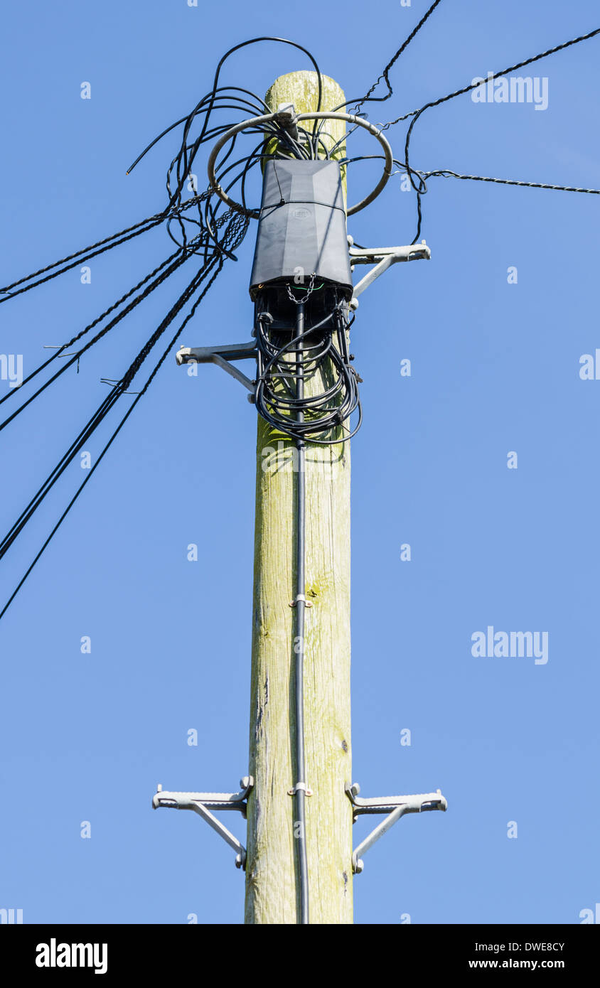 Wooden BT telegraph pole in the UK. Stock Photo