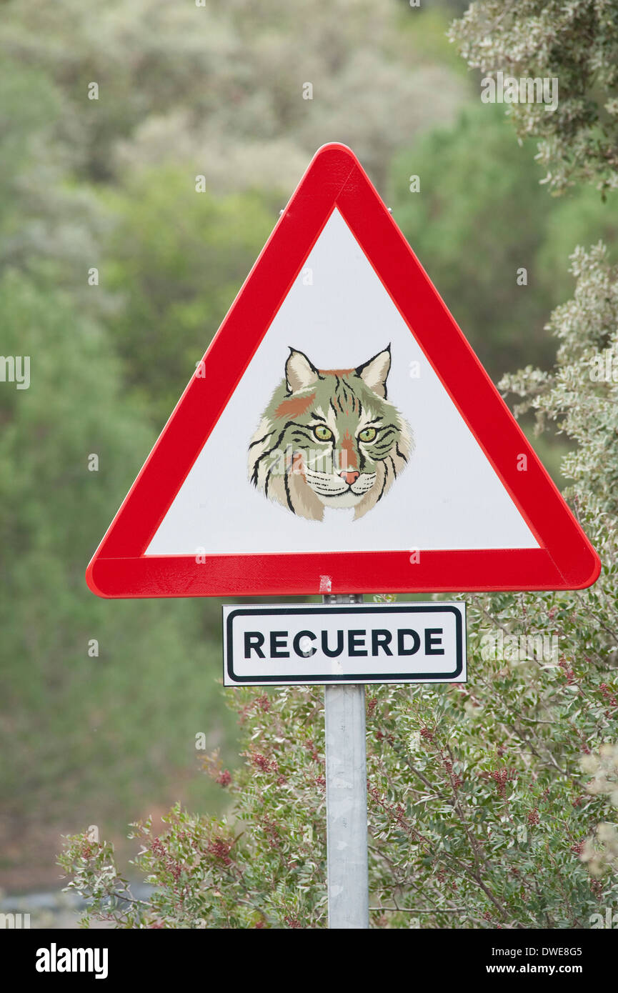 Spanish Lynx Traffic Sign Sierra de Andujar Natural Park Spain Stock Photo