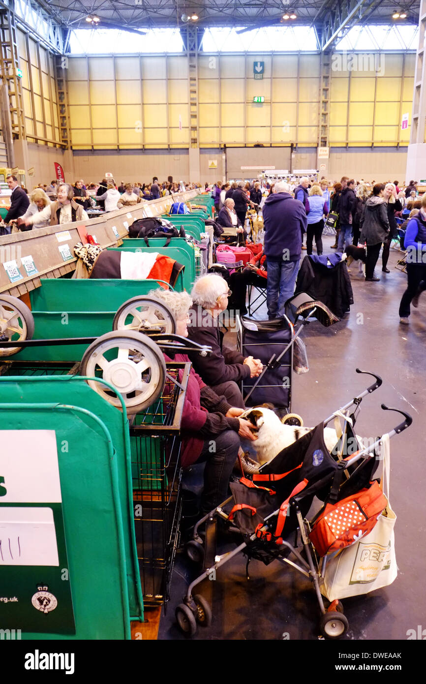 Birmingham, UK. 6th March 2014. Crufts 2014 dog show in NEC national