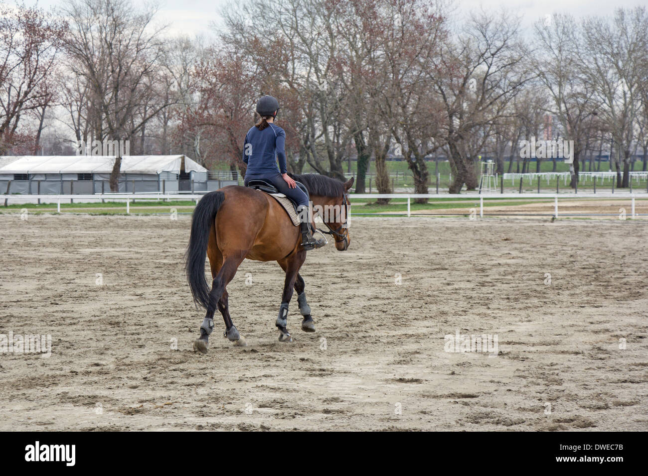 Young man riding a horse hi-res stock photography and images - Alamy