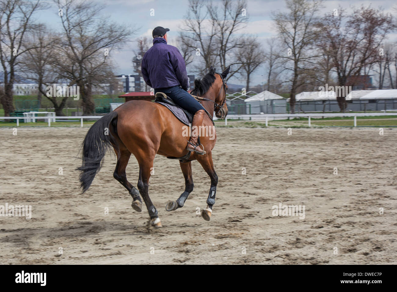 Man on horseback in enjoying recreational riding Stock Photo Alamy