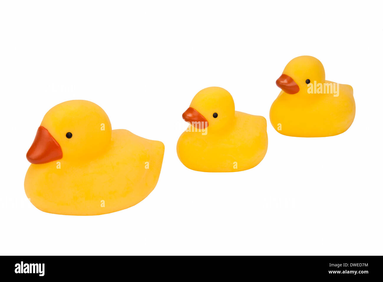 Three Rubber Ducks - Isolated Stock Photo