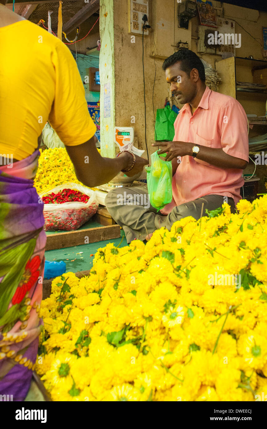 Dm14is0746 hires stock photography and images Alamy