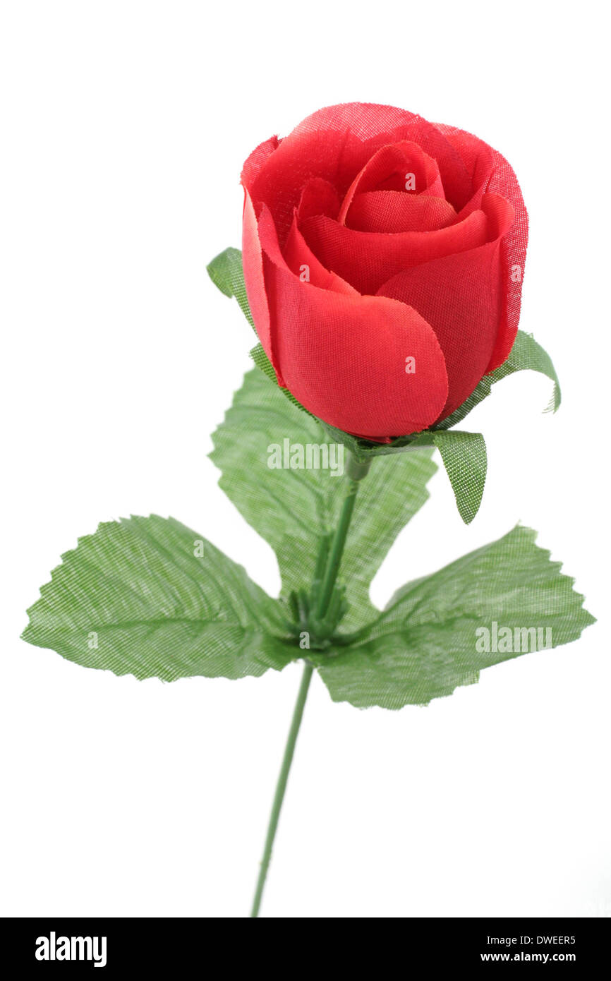 artificial red rose with white background Stock Photo
