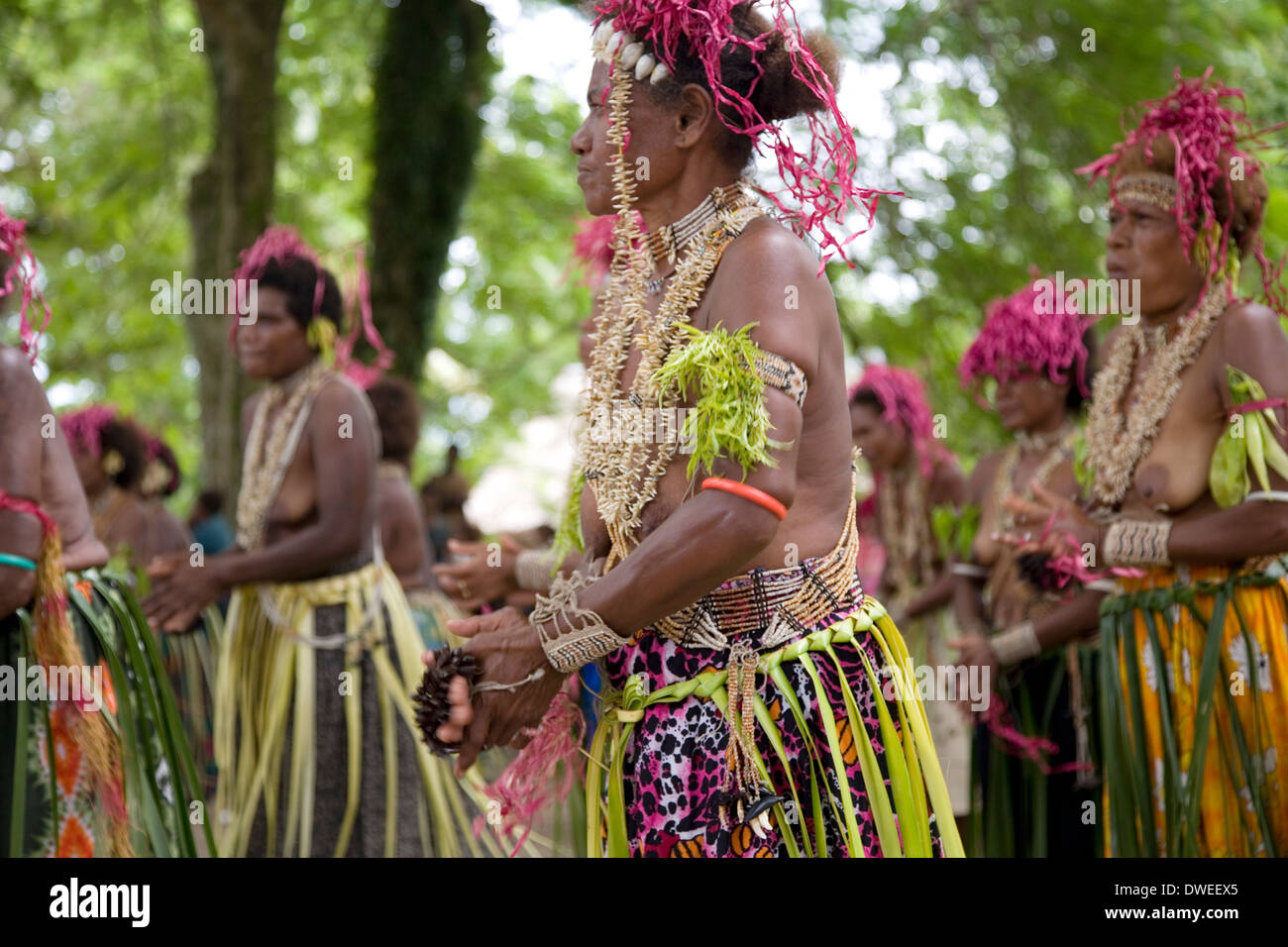 Traditionally costumed dancers from throughout the island perform at Santa Ana Island, Solomon Islands, South Pacific Stock Photo