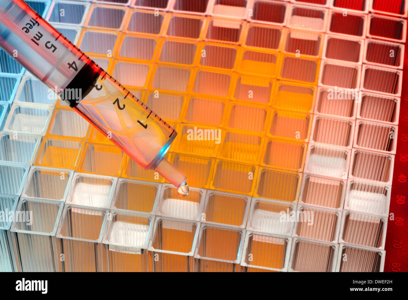 Testing of Microbiological samples in a hospital Pathology Laboratory. Stock Photo
