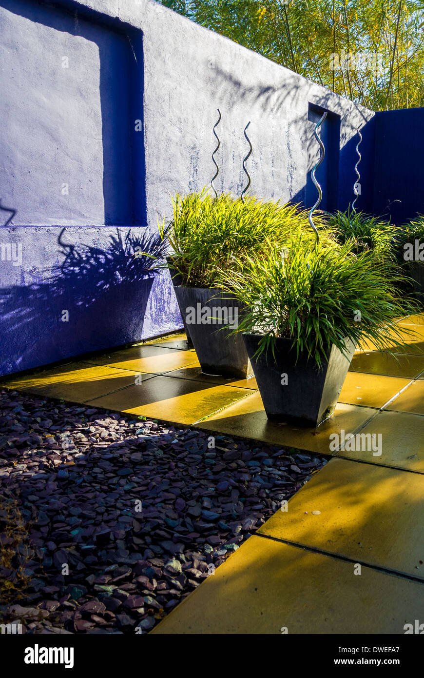 Grasses planted in containers on patio of contemporary garden Stock Photo