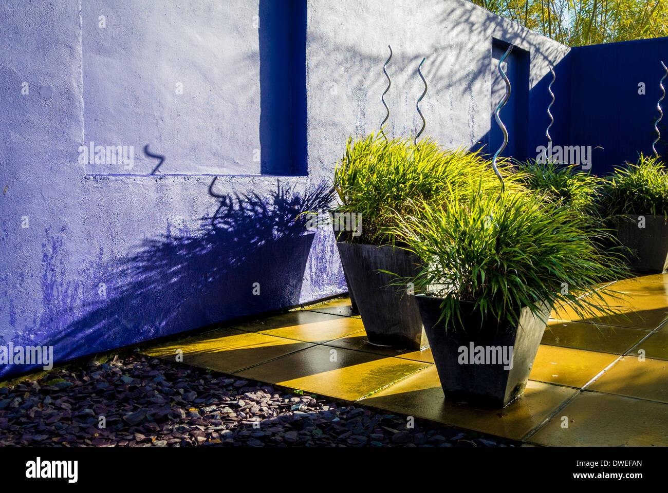 Grasses planted in containers on patio of contemporary garden Stock Photo