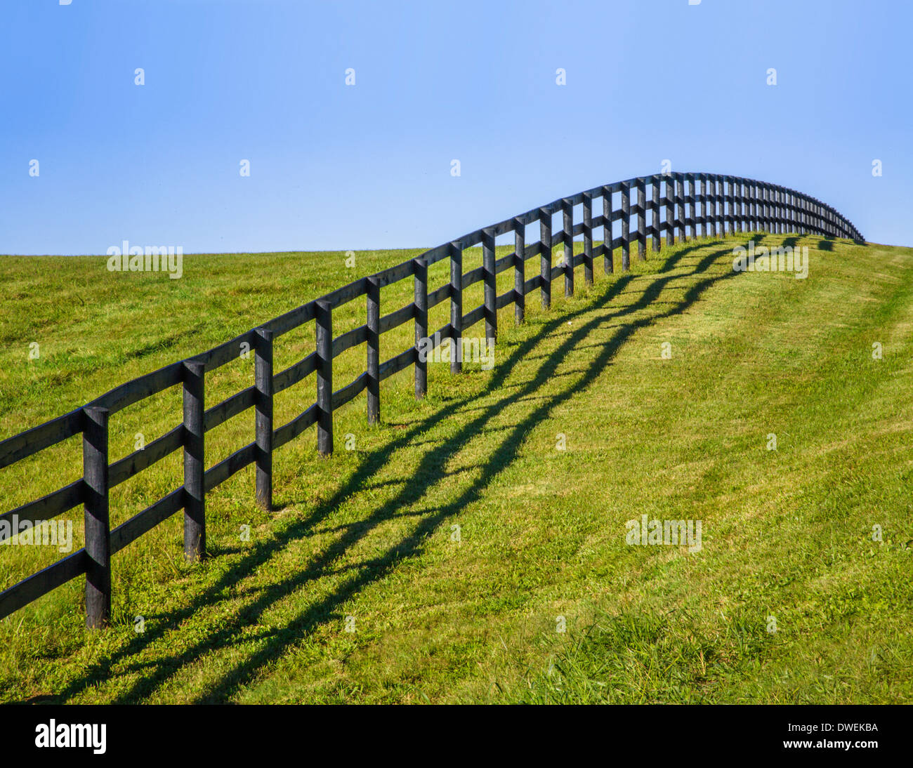 Green Grass And Blue Sky Along A Fence Line And Pasture During Autumn In Horse Country, Lexington, Kentucky, USA Stock Photo