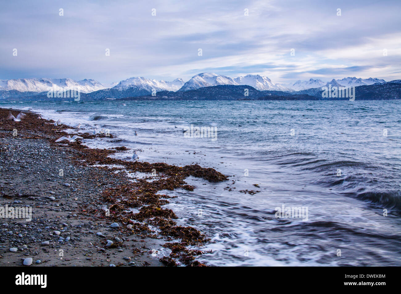 Alaska beach hires stock photography and images Alamy