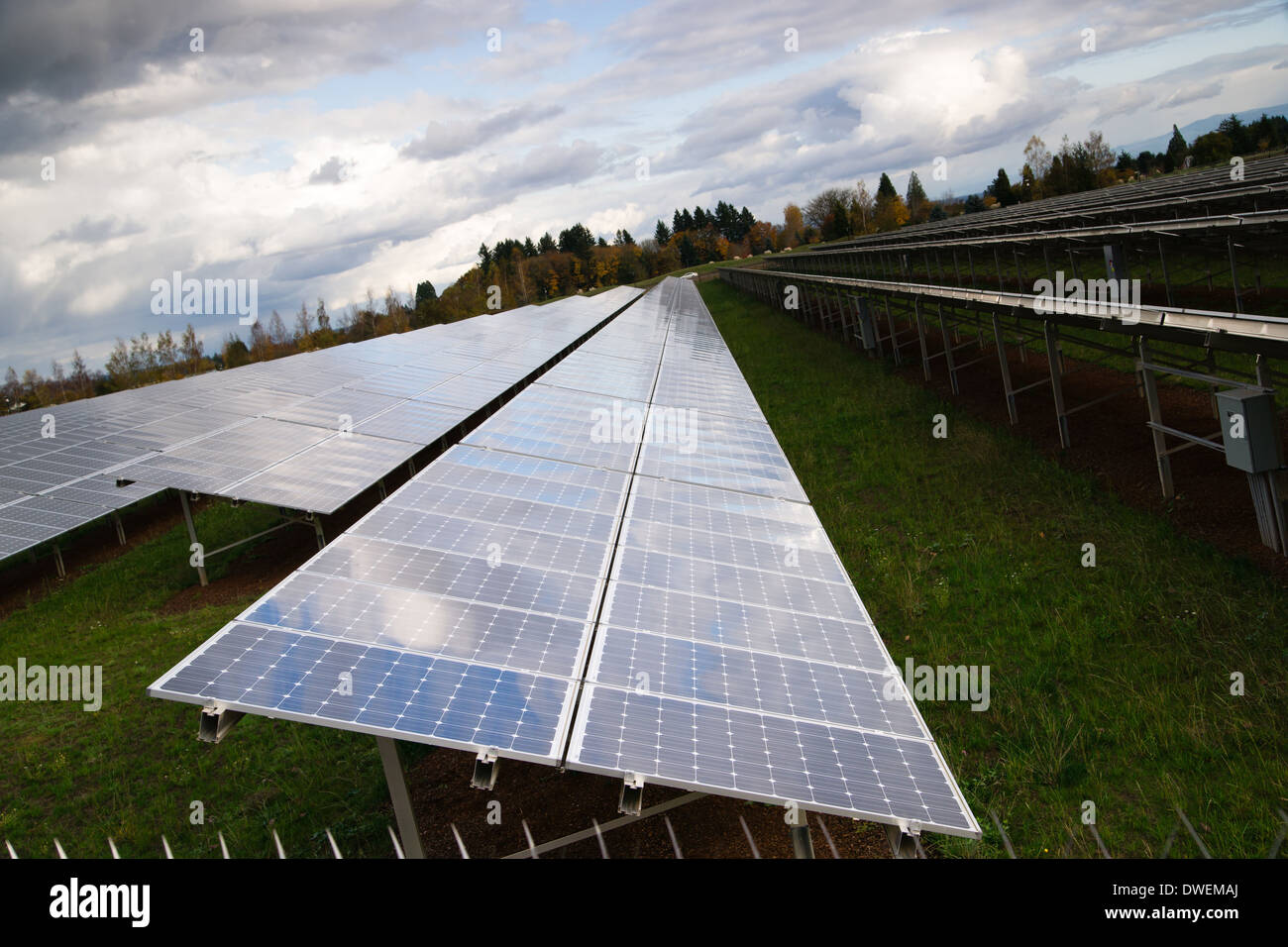 Solar energy is gaining popularity and a sun farm is shown here Stock Photo