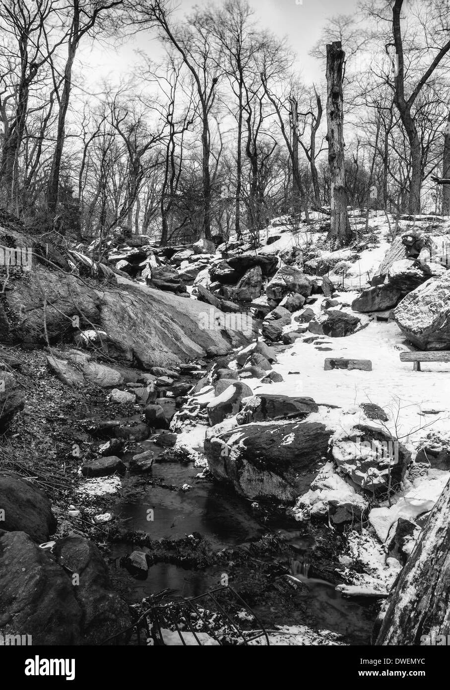 New york city winter central park Black and White Stock Photos Images