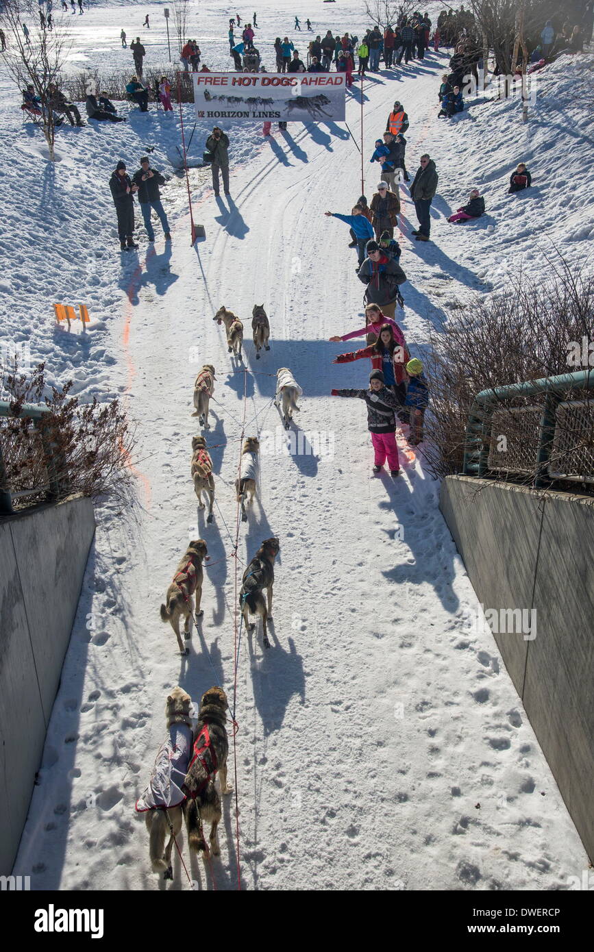 Anchorage, Alaska, USA. 1st Mar, 2014. Iditarod musher KRISTY BERINGTON
