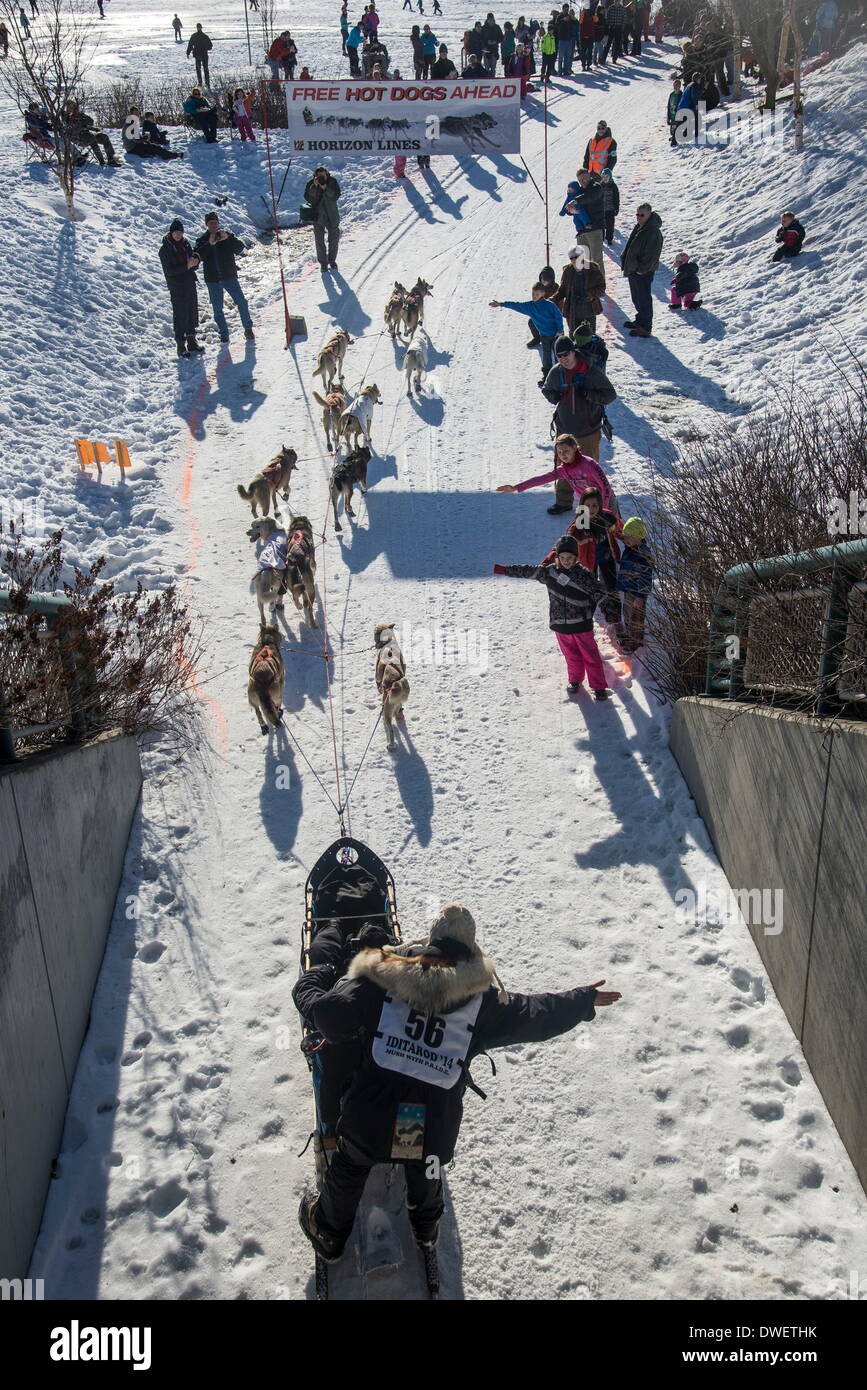 Anchorage, Alaska, USA. 1st Mar, 2014. Iditarod musher KRISTY BERINGTON