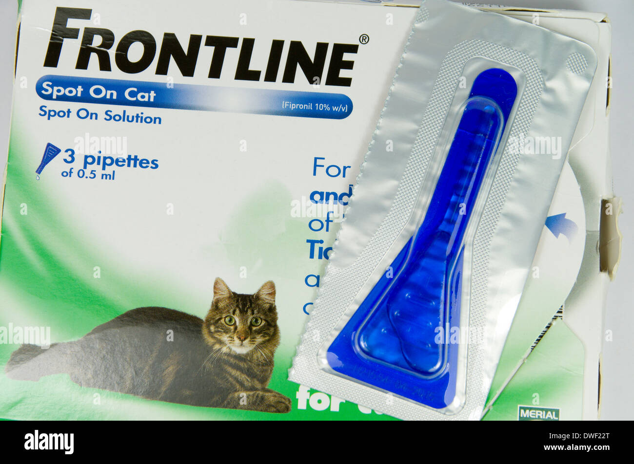 Frontline Spot On flea treatment for cats Stock Photo