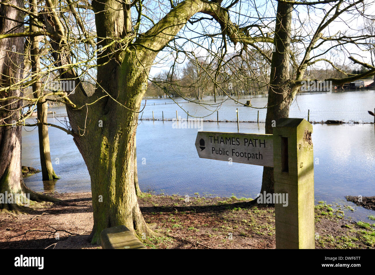 River Thames in flood at Hurley - Berkshire -  Thames Path walk  sign pointing way across flooded fields. Winter sunlight Stock Photo