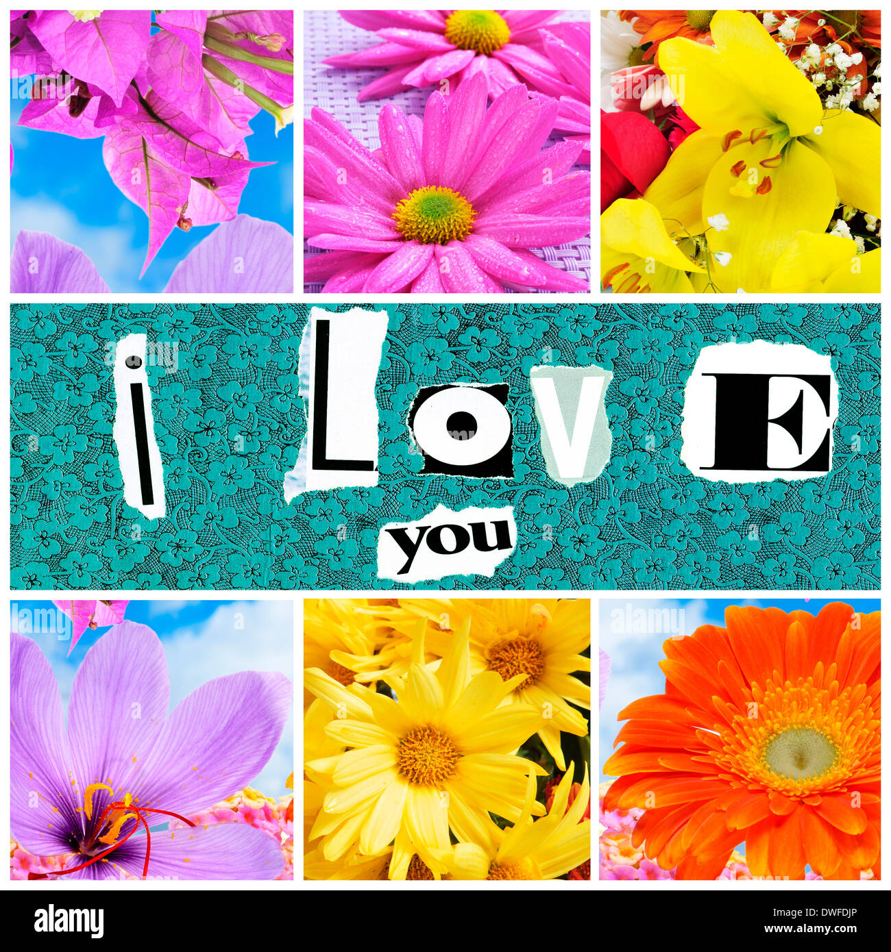 A Collage Of Different Flowers And The Sentence I Love You Made With Stock Photo Alamy A Collage Of Different Flowers And The Sentence I Love You Made With Stock Photo Alamy