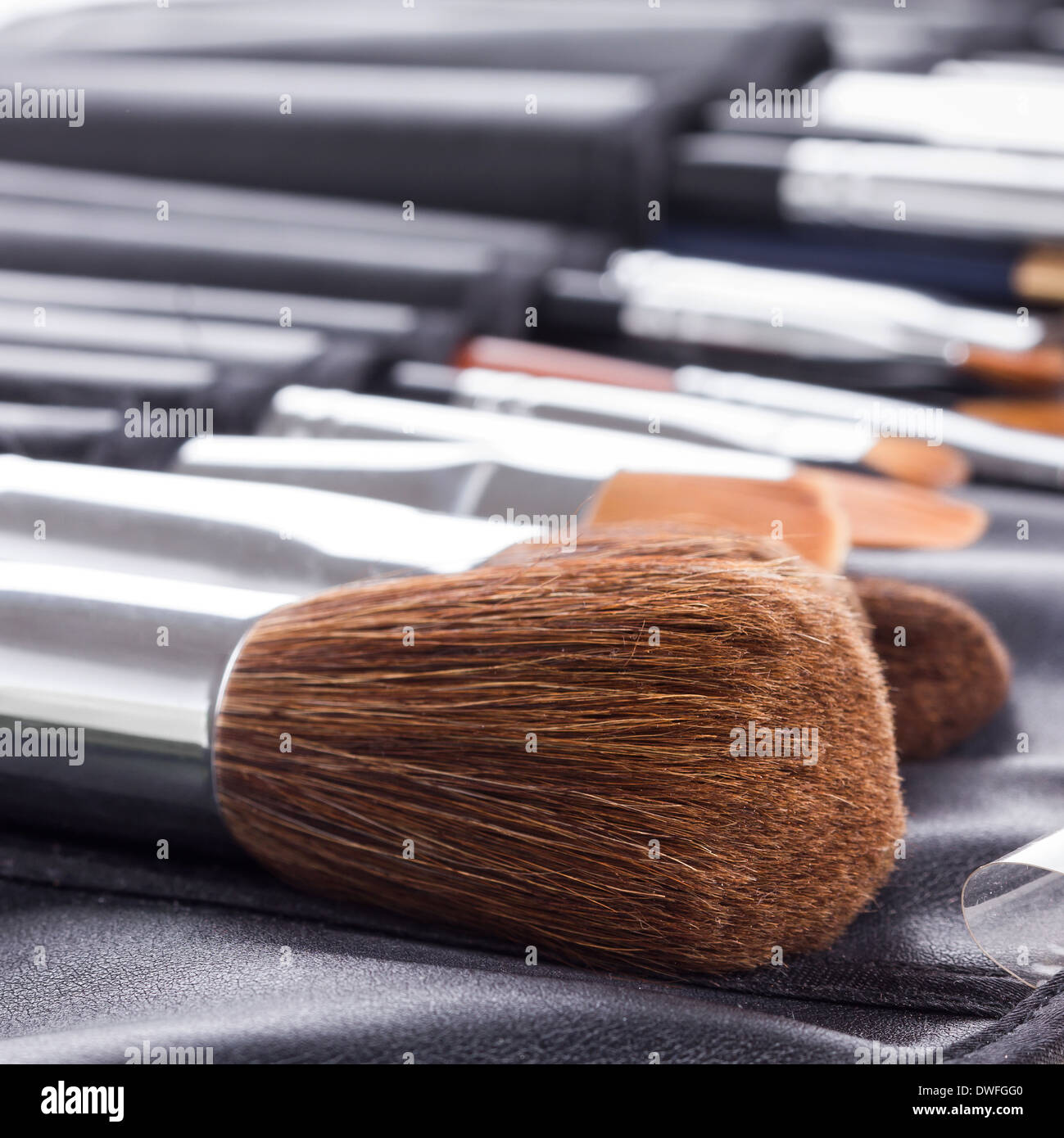 Set of professional makeup brushes in compact case  Stock Photo