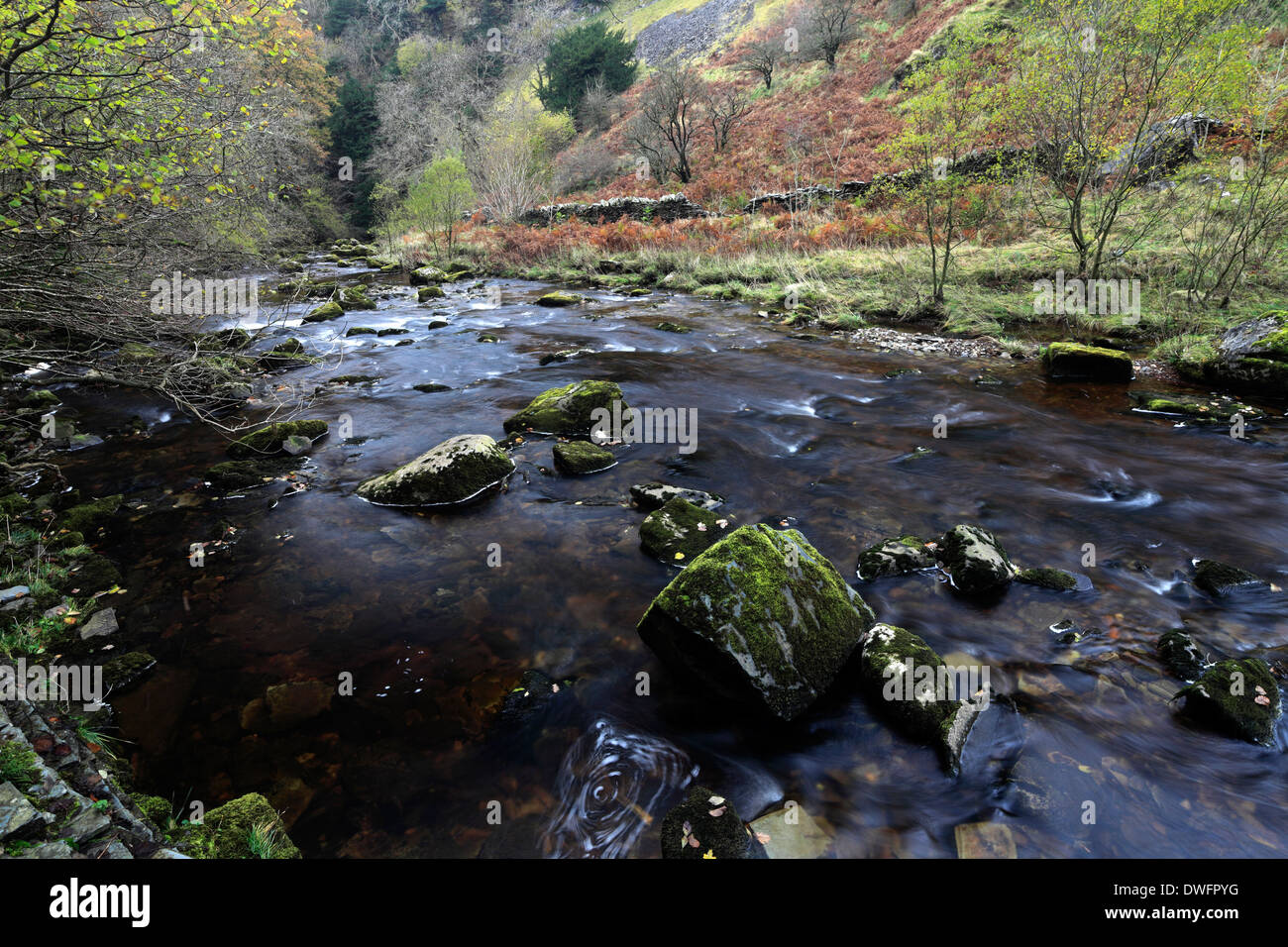 Autumn river Twiss, Ingleton Waterfalls Trail, Ingleton village, Yorkshire Dales National Park, England, UK Stock Photo