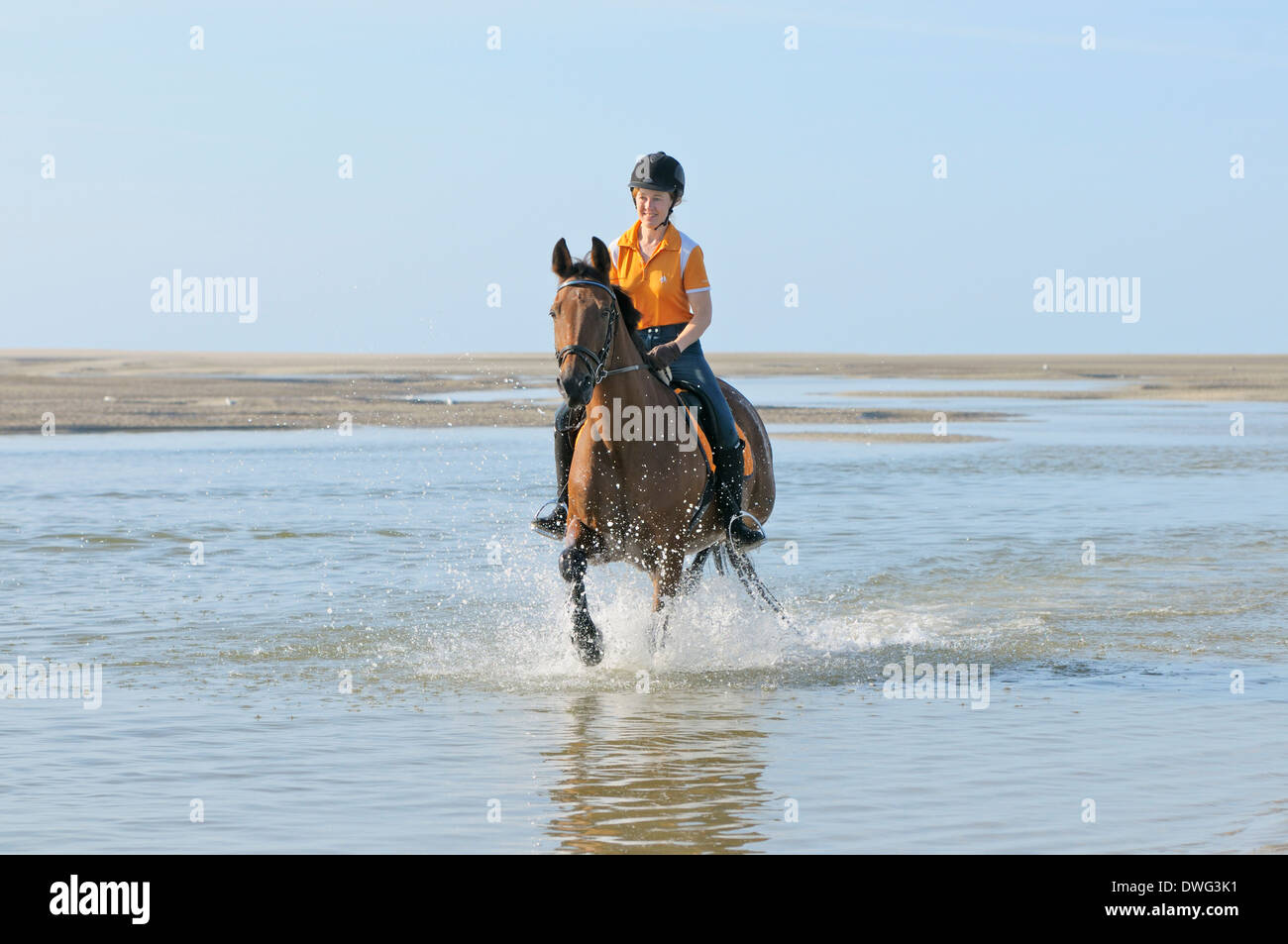 Riding in the mudflat of the North Sea (Germany) Stock Photo