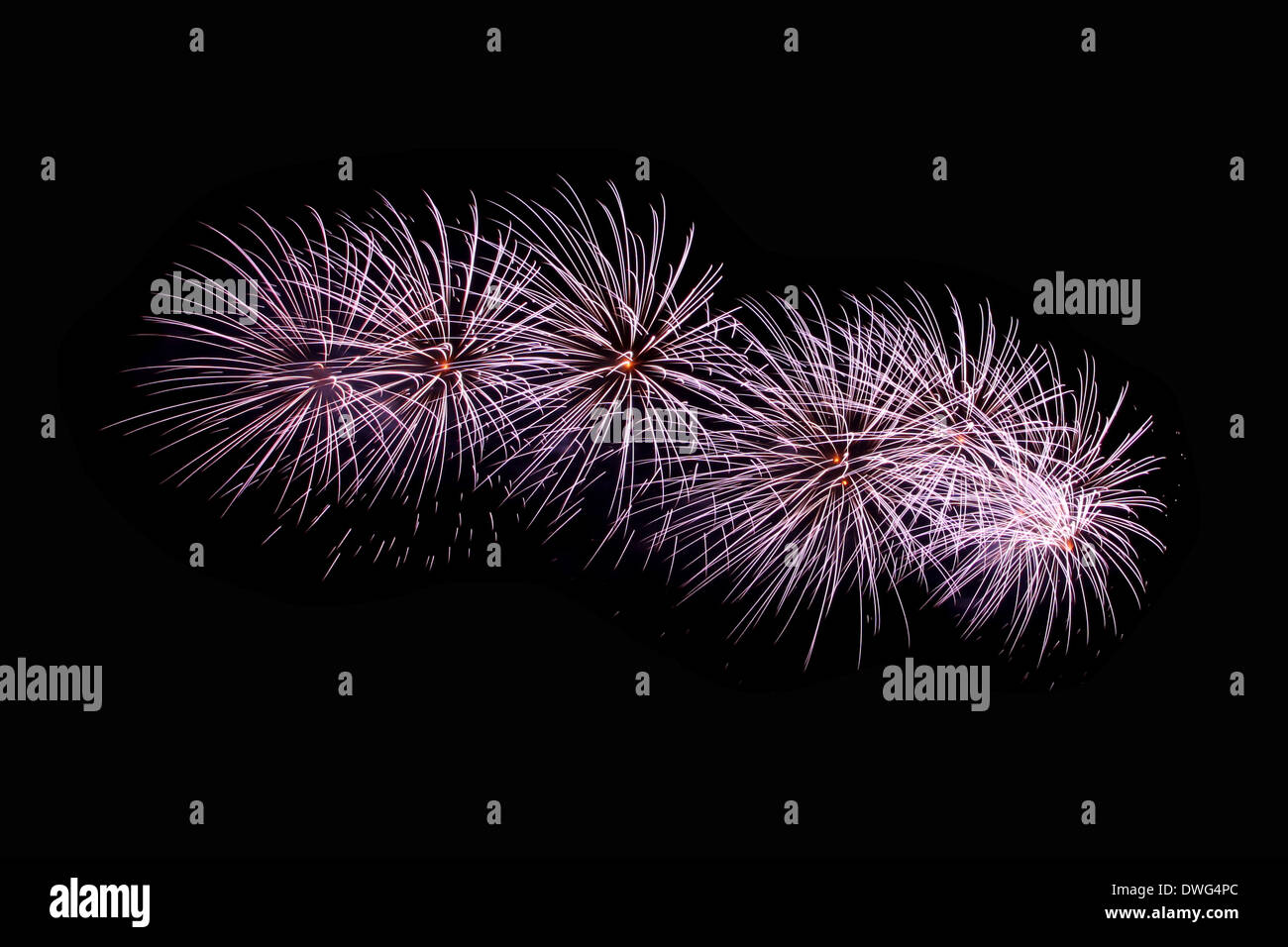 Purple Fireworks or firecracker in the darkness. Stock Photo