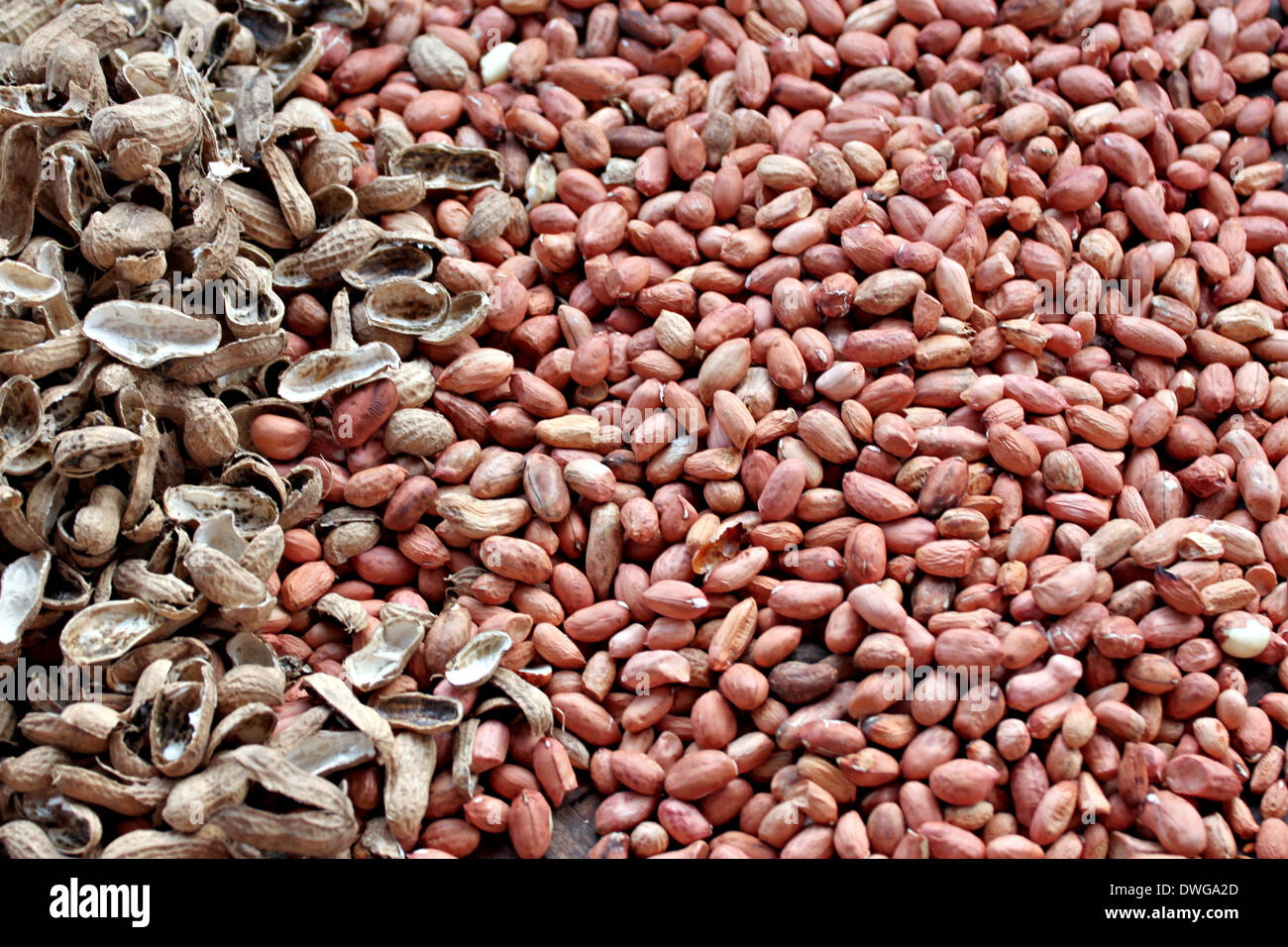 Peanuts shelled out and shell placed near Stock Photo Alamy