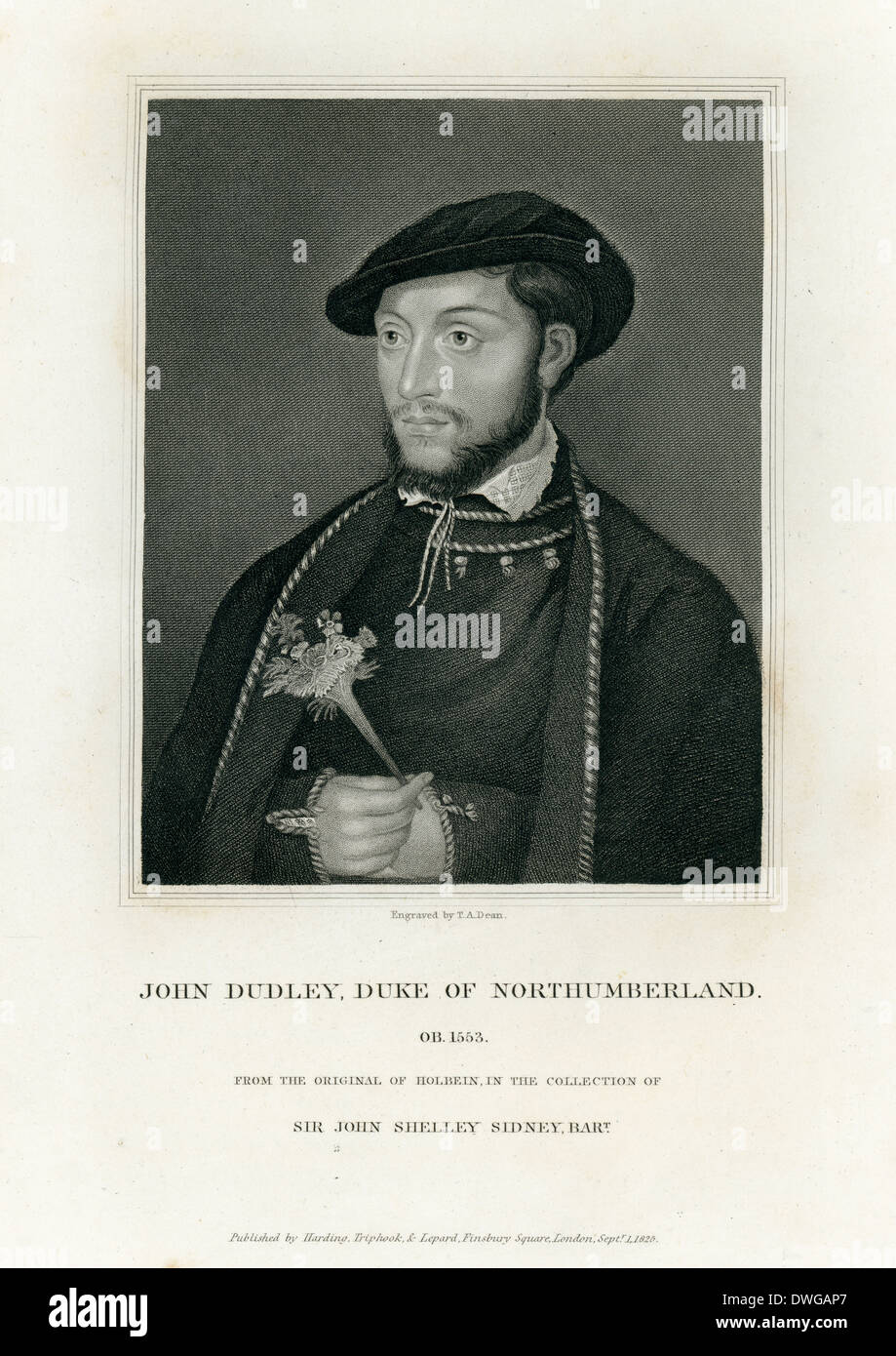 Portrait of John Dudley Duke of Northumberland, 1553 Stock Photo Alamy