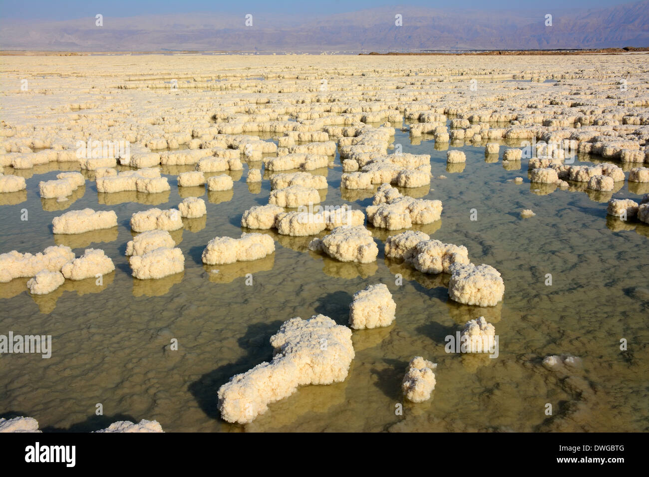 Salt Formations In The Dead Sea Israel Stock Photo Alamy