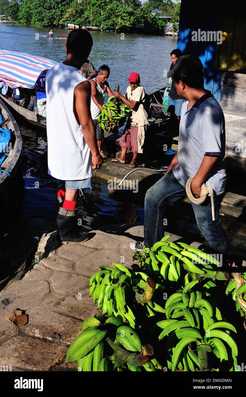 Bananas - Harbour in LETICIA. Department of Amazonas.COLOMBIA. Stock Photo