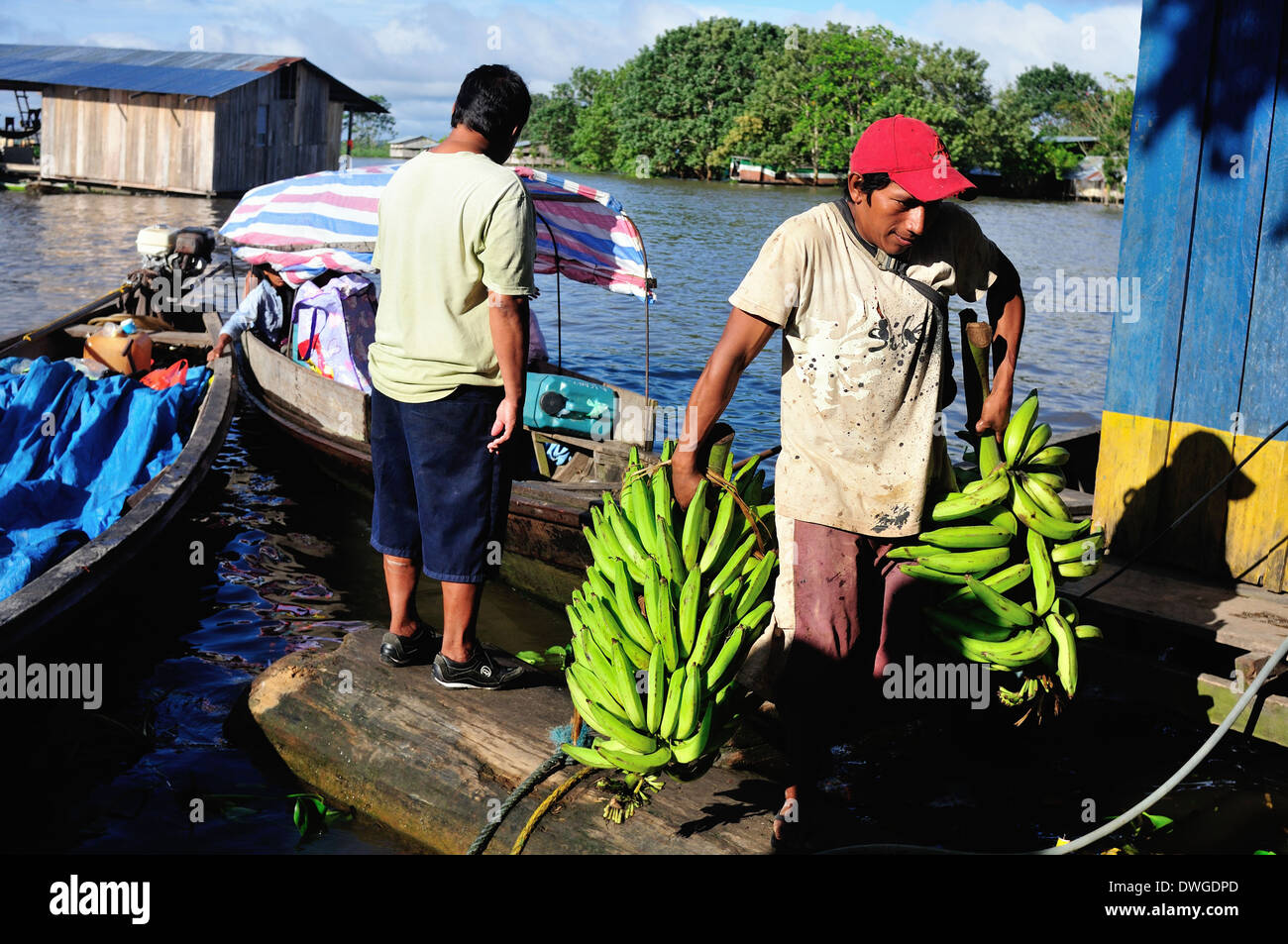 Bananas - Harbour in LETICIA. Department of Amazonas.COLOMBIA. Stock Photo