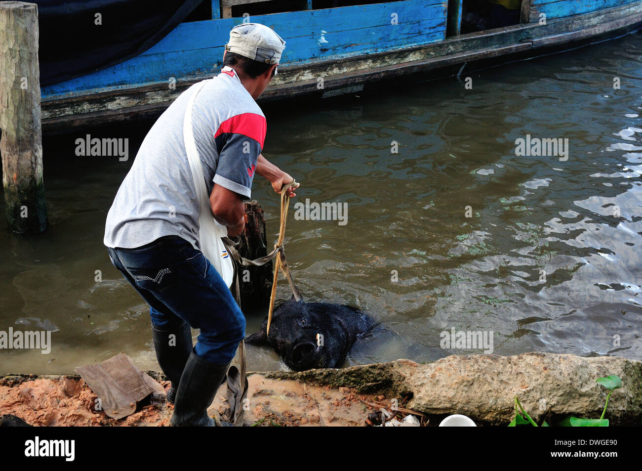 Harbour in LETICIA. Department of Amazonas.COLOMBIA.fishing articles Stock Photo